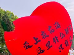 -荷兰花海
