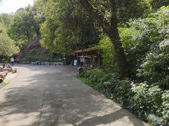 -古佛洞天