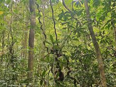 -七仙岭温泉国家森林公园