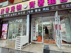 -青奢宠物·青奢猫舍