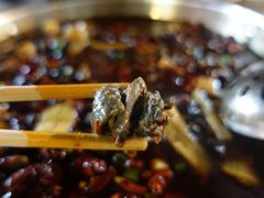 -黑竹香鸡(营和巷店)