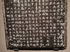 -辽宁省博物馆