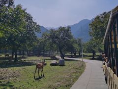 -西安秦岭野生动物园