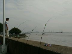 -大湾区中央湿地公园-十九涌