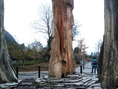 -金钉子远古世界景区