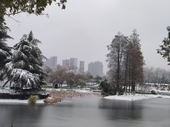 -金银湖国家城市湿地公园