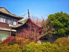 -梅园