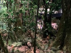 -浙江自然博物院(杭州馆)