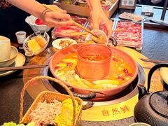 -菌自由丨野生菌火锅特色庭院餐厅(丽江古城店)