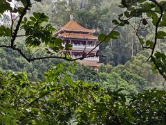 -水濂山森林公园