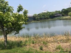 -贡湖湾湿地公园