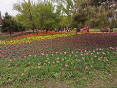 -长春公园(普阳街道)