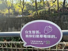 -佛山华盖山公园