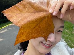 -苏州环秀晓筑养生度假村