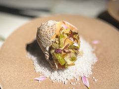 海盐甜葱芥螺片-YUAN·䬧
