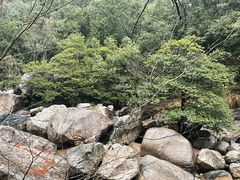 -黄山翡翠谷景区