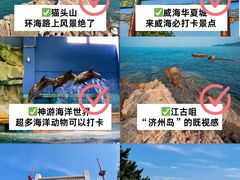 -威海华夏城景区