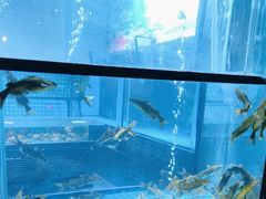 -王家渡火锅店(棕榈泉店)