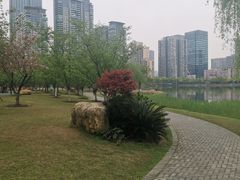 -西北湖绿化广场