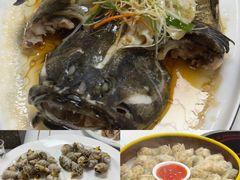 -大海山(金港店)