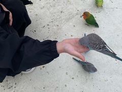 -芜湖新华联大白鲸海洋公园