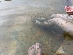 -张家港金凤凰度假村温泉