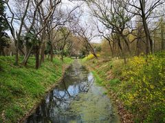 -蜀冈西峰生态公园