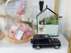 -花未央花店·WEYOUNG