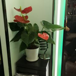 点击看大图 -BUTY HAIR 比帝专业烫染店