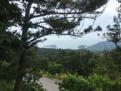 -怪坡茶馆