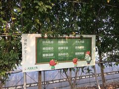 -米果果小镇