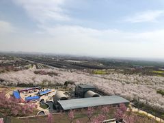 -古柏渡飞黄旅游区