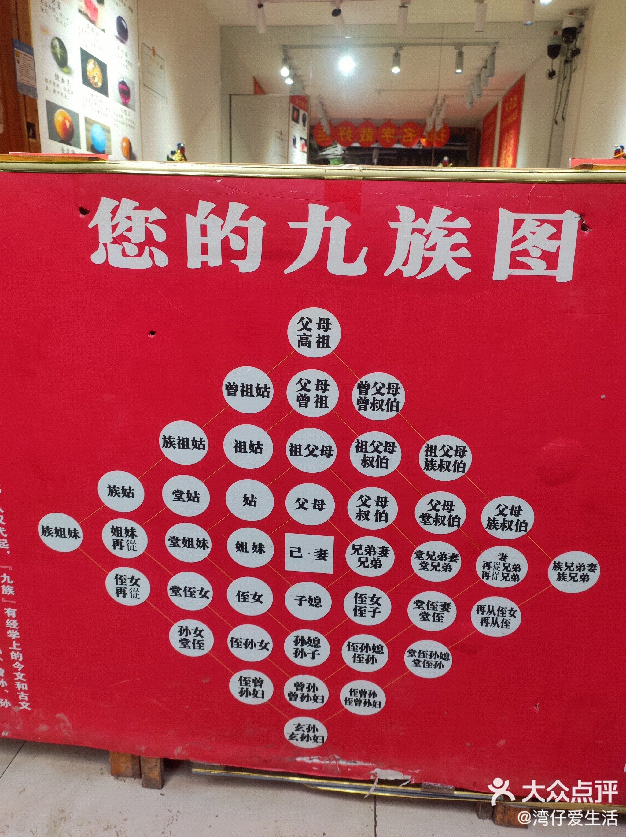 族长是代表什么