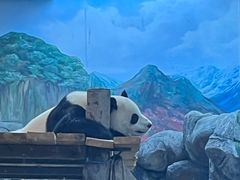 -武汉动物园