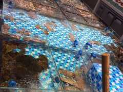 -映像威海·海鲜味道(市区店)