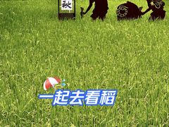 -北坞公园