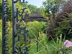 -云溪植物园