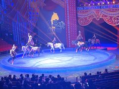 -珠海横琴长隆《卡卡虎奇遇记》