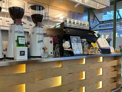 -大青树咖啡(大理古城店)