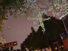 -成都市文殊院