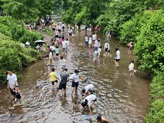 -重庆彩云湖湿地公园