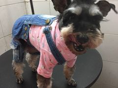 -萌萌喵宠物(百水芊城阅水坊店)