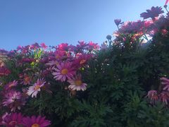 -南诏风情岛