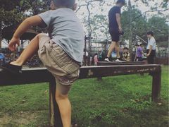 -马陆小张葡萄园农家乐