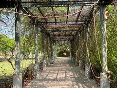 -中国科学院西双版纳热带植物园