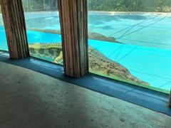 -广州长隆飞鸟乐园