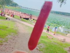 -丁香湖公园