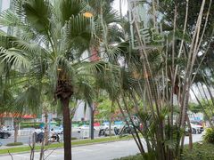 -勝記酒家·37年老字号·经典粤菜(荔枝公园店)