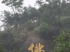 -三水森林公园