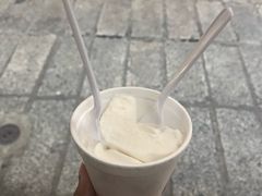 -洪馨椰子